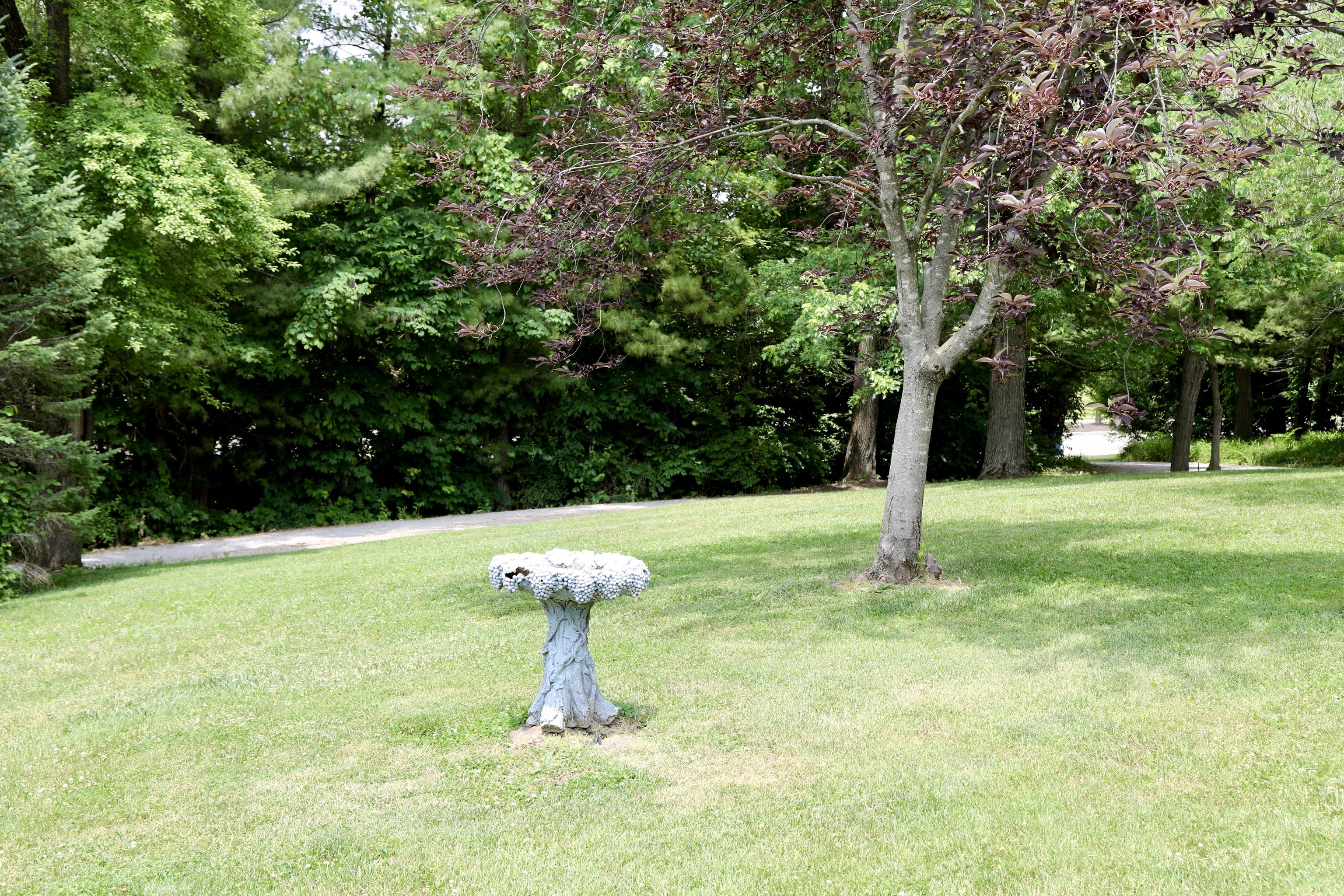 10715 Allisonville Road Fishers, IN 46038 - Photo 13 of 13