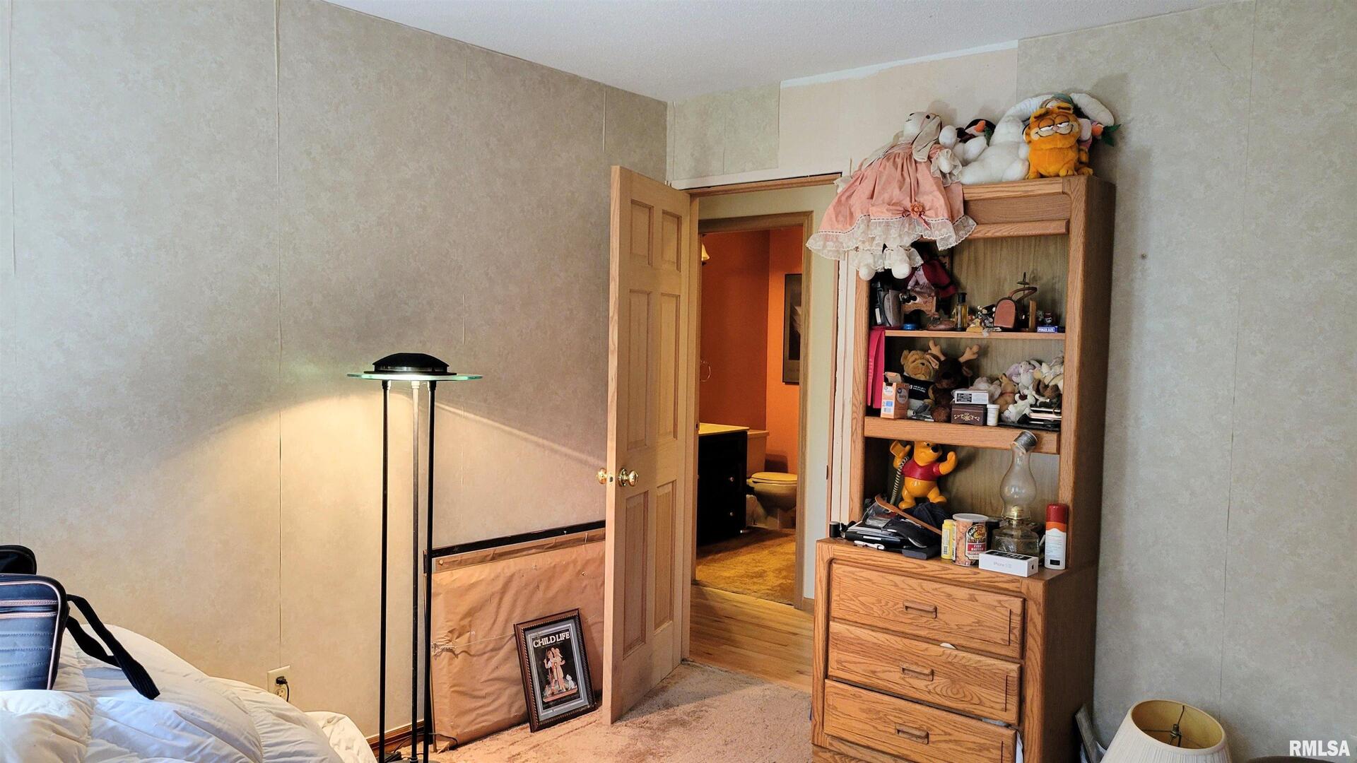 3898 Country Club Road Carbondale, IL 62901 - Photo 19 of 55