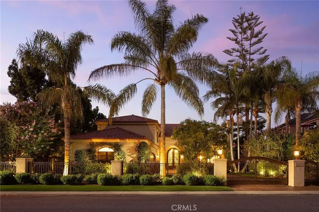 a view of a palm trees