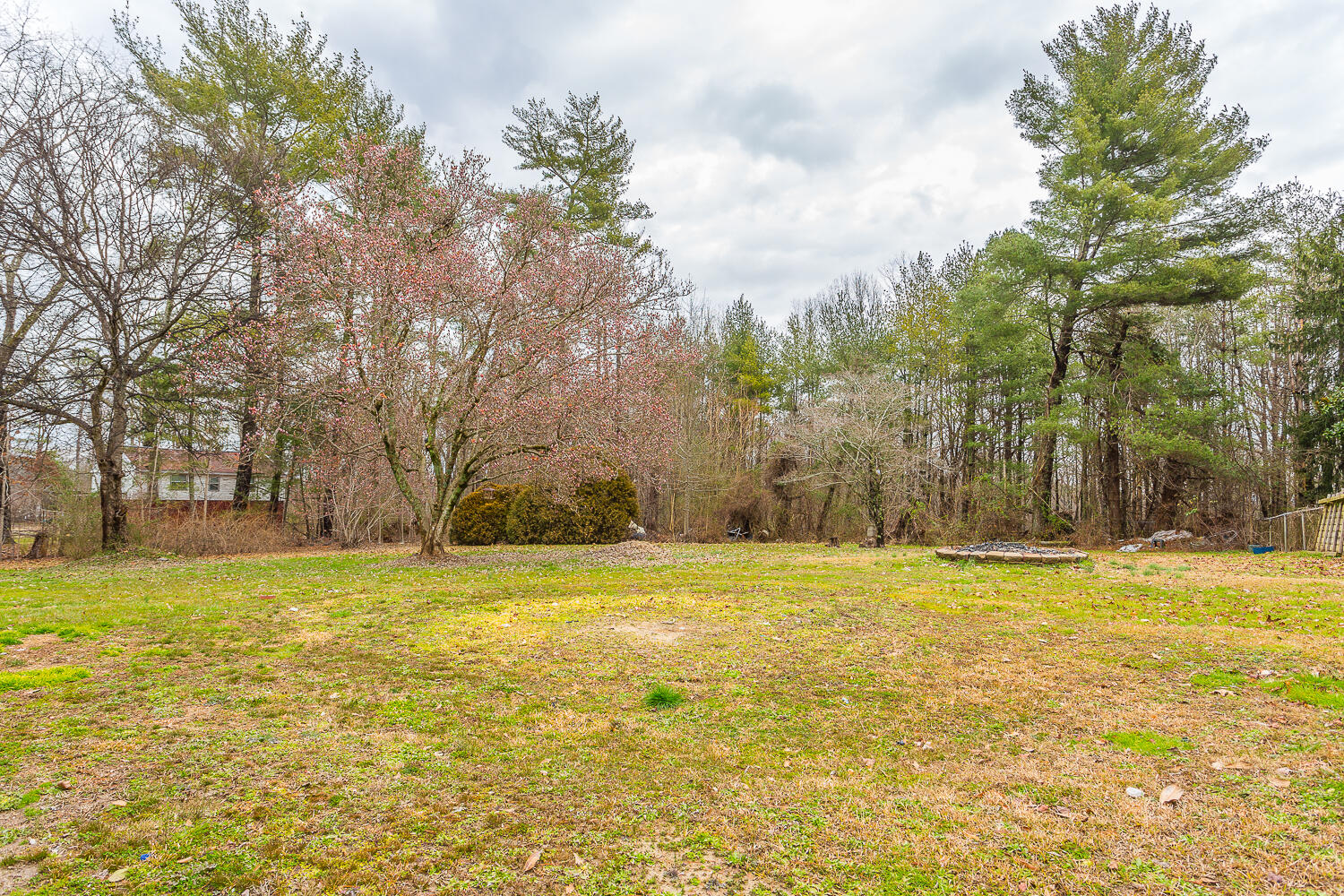 1057 Johnson Road Chickamauga, GA 30707 - Photo 42 of 47 1057 Johnson Road HD -8