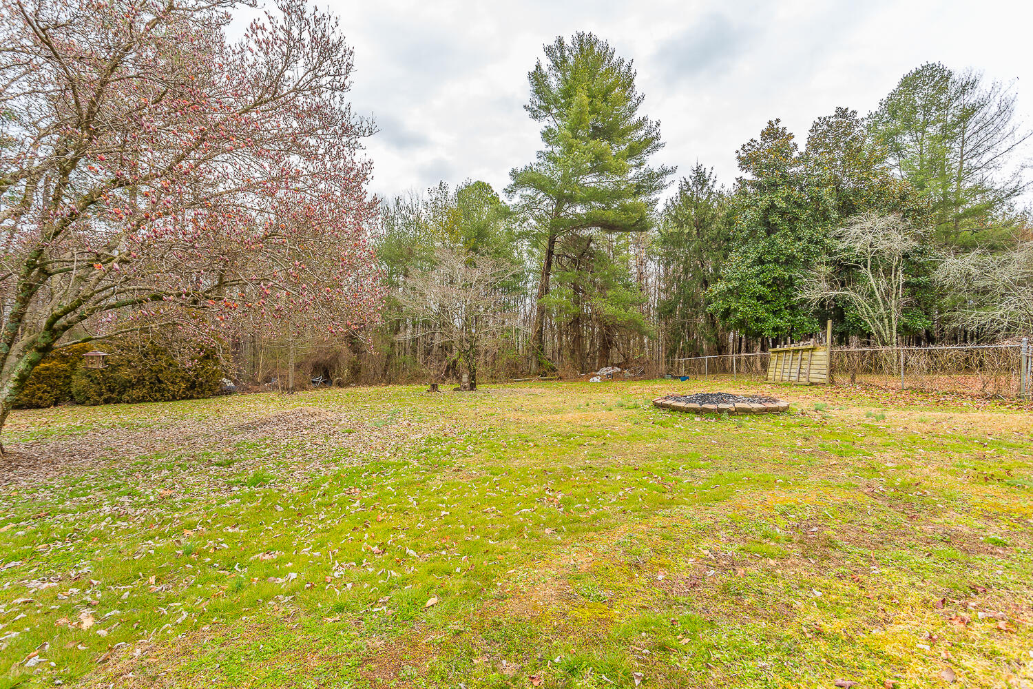 1057 Johnson Road Chickamauga, GA 30707 - Photo 43 of 47 1057 Johnson Road HD -9