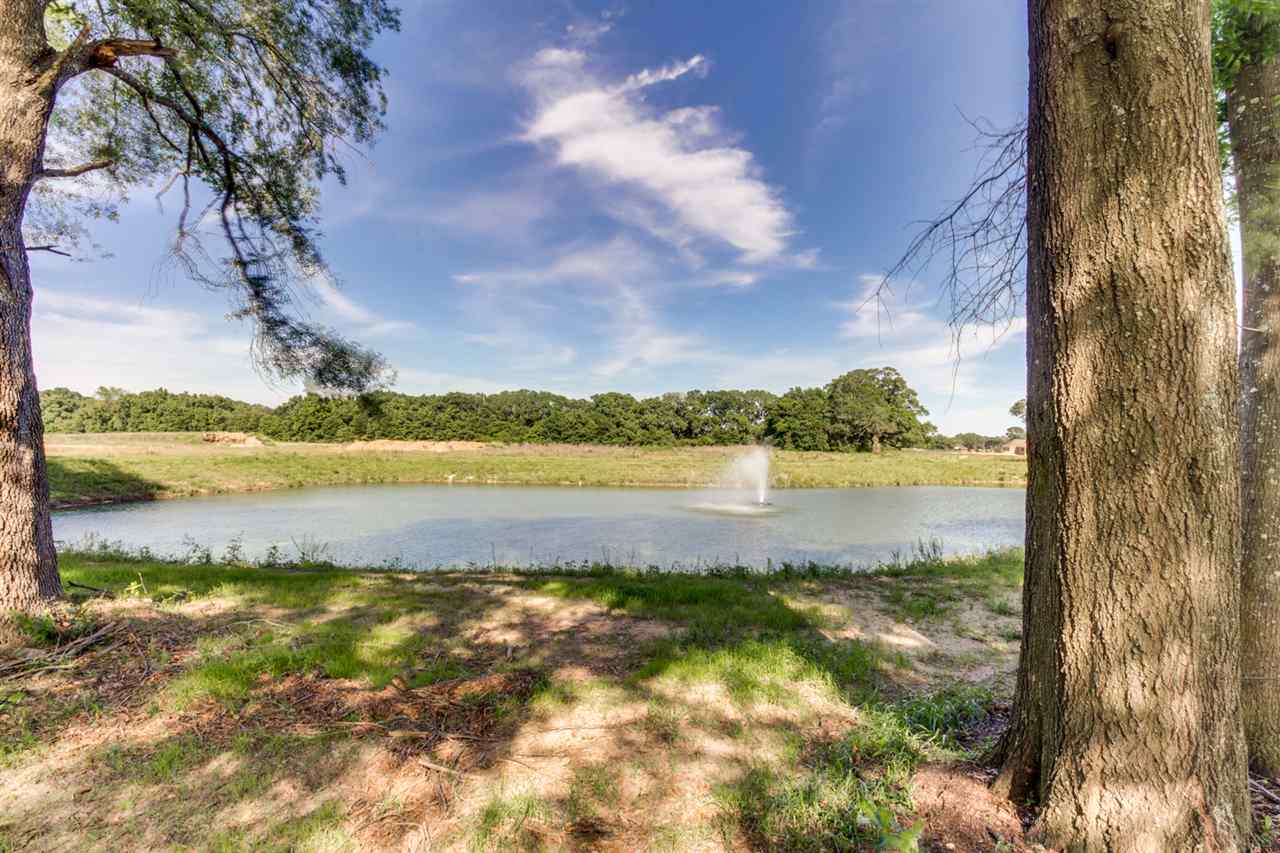 403 Nandina Loop Fairhope, AL 36532 - Photo 10 of 10