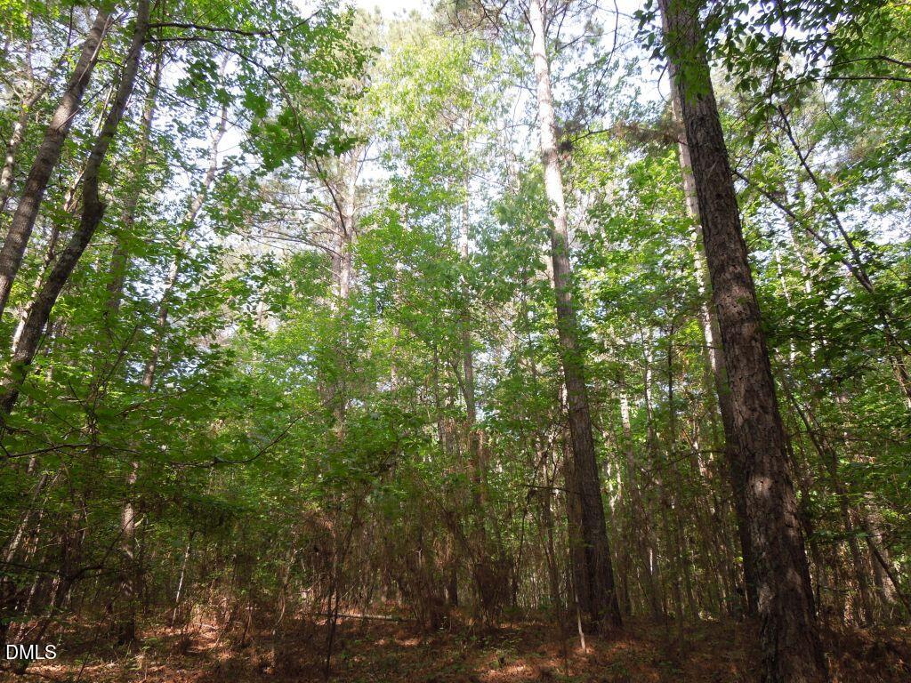 0 Glebe Road Henderson, NC 27537 - Photo 11 of 34 DSCN0483