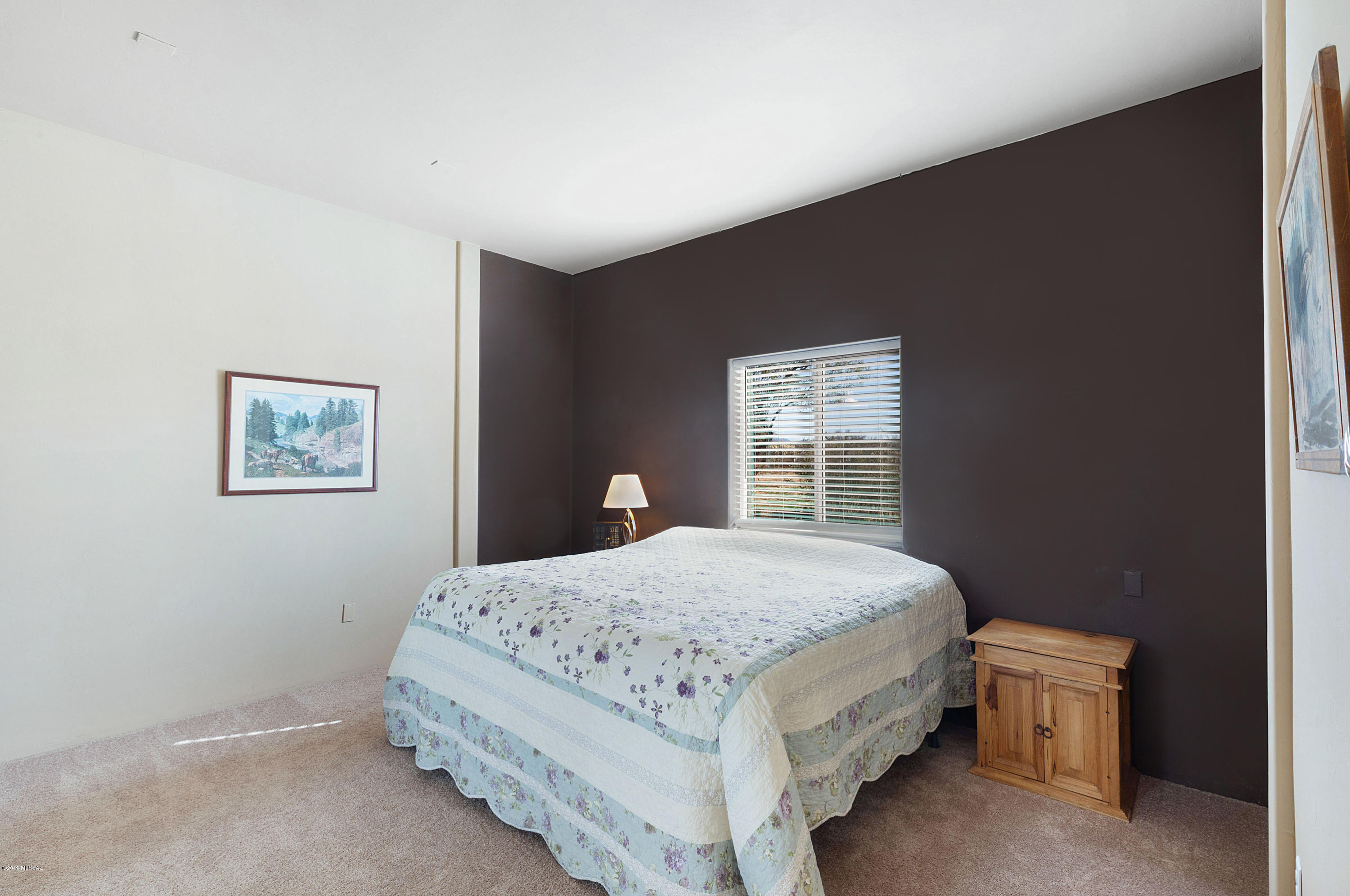 49687 Mifflin Road Tucson, AZ 85739 - Photo 13 of 20 Gallery Image 13