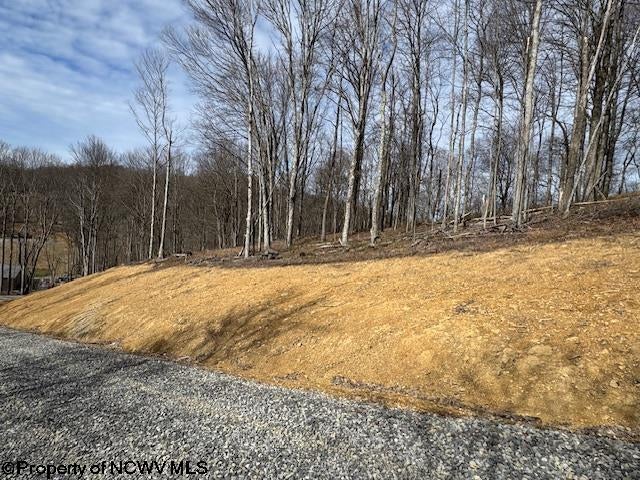 Tbd Green Valley Road Bridgeport, WV 26330 - Photo 14 of 19 Gallery Image 14