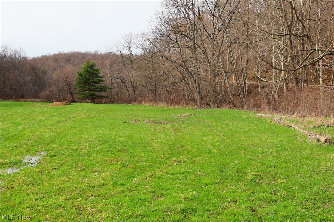 6030 Atkinson Creek Road Southeast Tippecanoe, OH 44699 - Photo 2 of 27