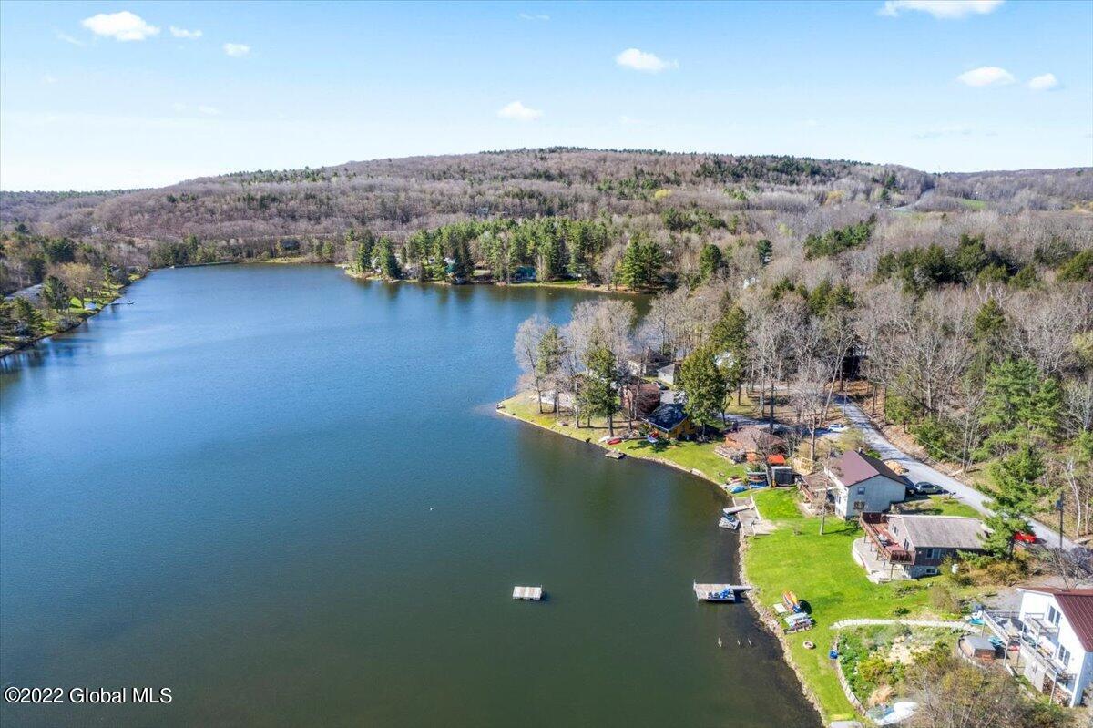 36 Circle Drive Berne, NY 12059 - Photo 39 of 43 03-DJI_0772