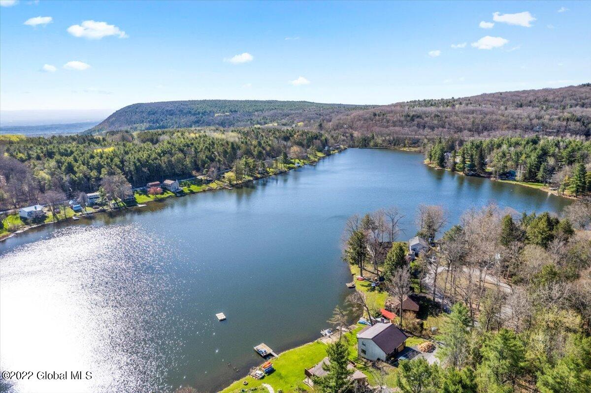 36 Circle Drive Berne, NY 12059 - Photo 40 of 43 04-DJI_0775