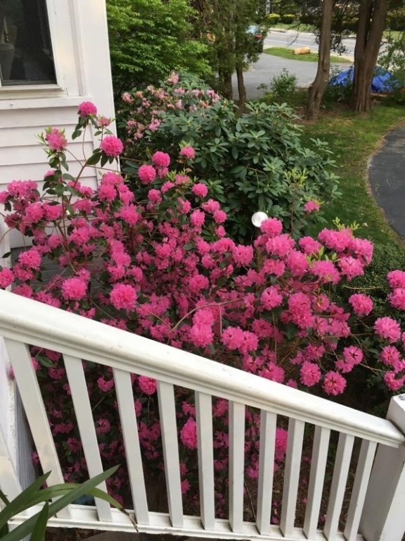 126 County Road Barrington, RI 02806 - Photo 22 of 38