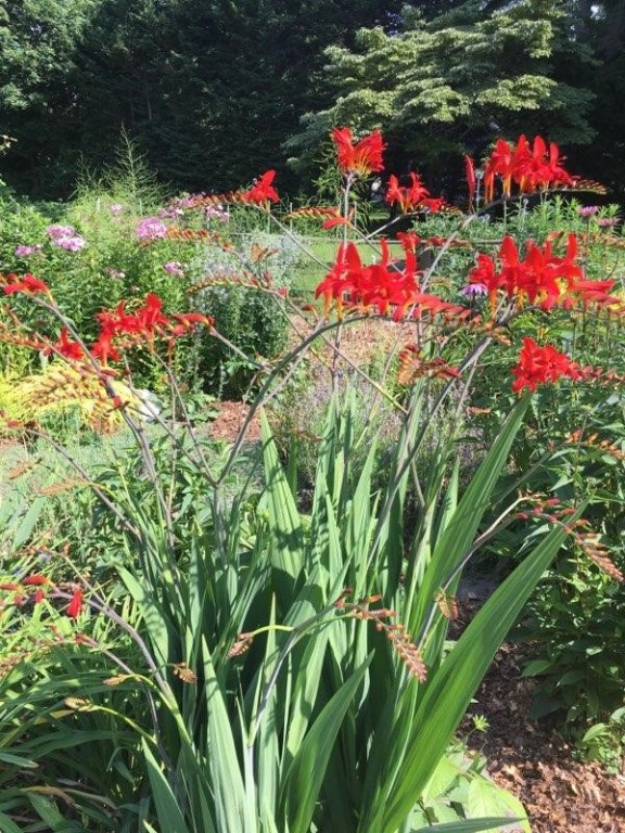 126 County Road Barrington, RI 02806 - Photo 23 of 38