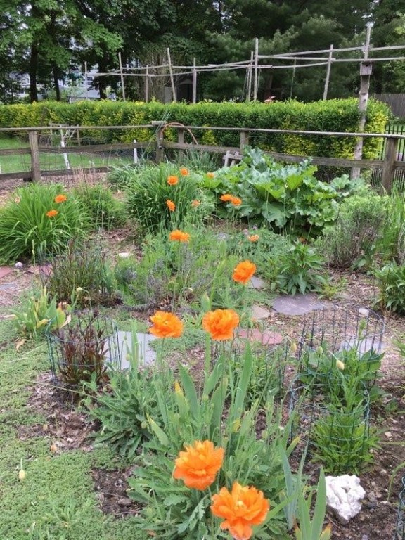 126 County Road Barrington, RI 02806 - Photo 29 of 38