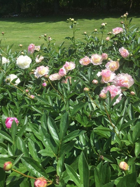 126 County Road Barrington, RI 02806 - Photo 31 of 38