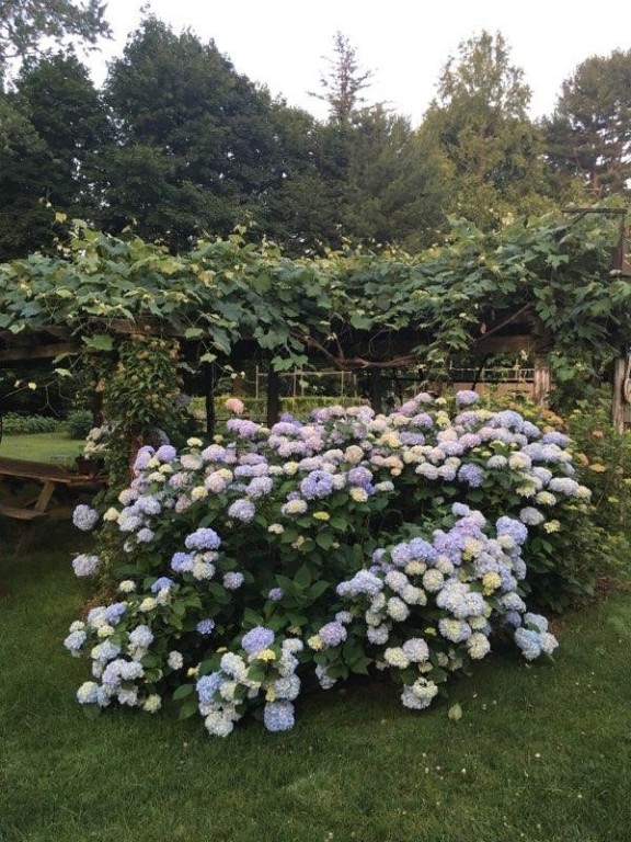 126 County Road Barrington, RI 02806 - Photo 32 of 38
