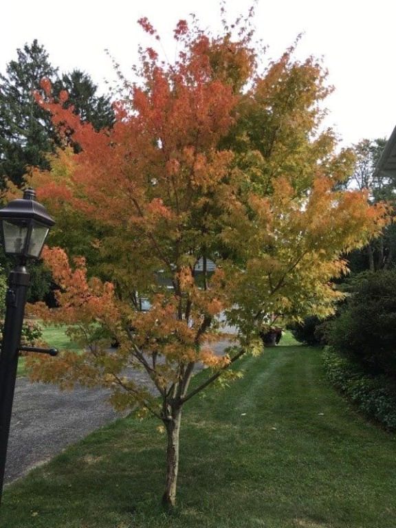 126 County Road Barrington, RI 02806 - Photo 33 of 38