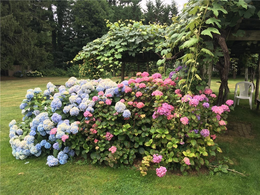 126 County Road Barrington, RI 02806 - Photo 36 of 38