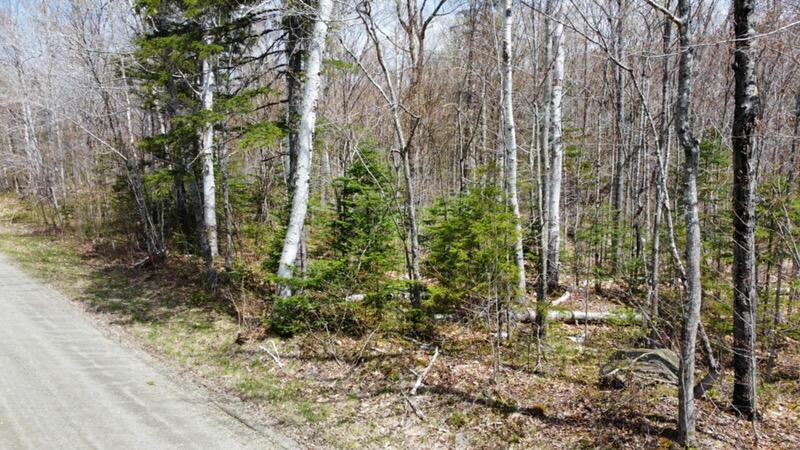 2029 Fox Hollow Road Carrabassett Valley, ME 04947 - Photo 3 of 10 dji_fly_20250513_112404_940_174714993046