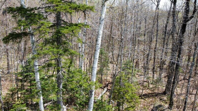 2029 Fox Hollow Road Carrabassett Valley, ME 04947 - Photo 8 of 10 dji_fly_20250513_112136_930_174715004418