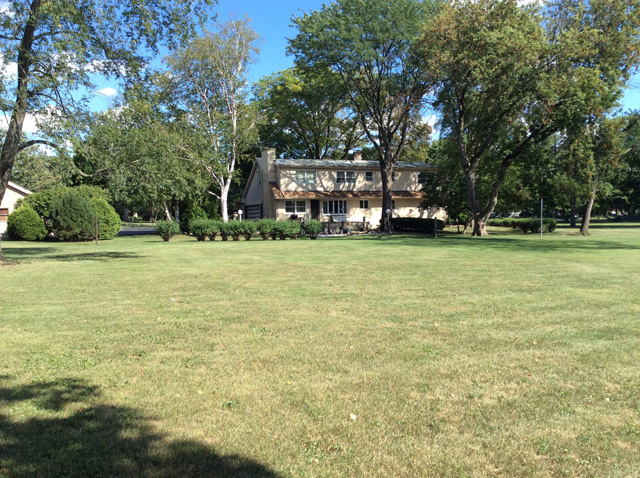 8S220 College Road Naperville, IL 60540 - Photo 12 of 20 a view of a trees in front of a house