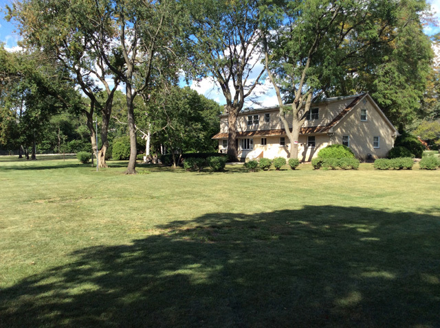 8S220 College Road Naperville, IL 60540 - Photo 14 of 20 a view of a field with an trees