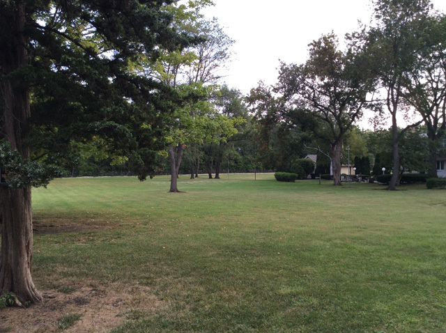 8S220 College Road Naperville, IL 60540 - Photo 16 of 20 a backyard of a house with lots of green space