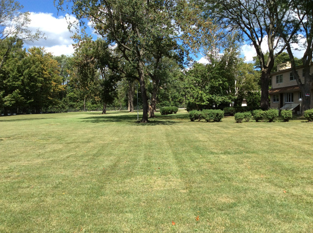 8S220 College Road Naperville, IL 60540 - Photo 17 of 20 a view of a green yard