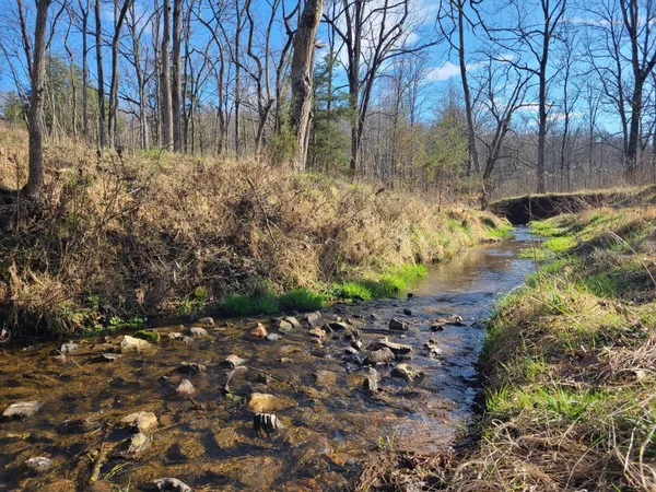 a view of backyard with green space