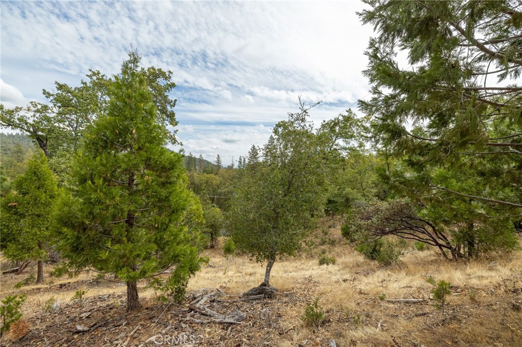 26 Timberview Road North Fork, CA 93643 - Photo 45 of 60