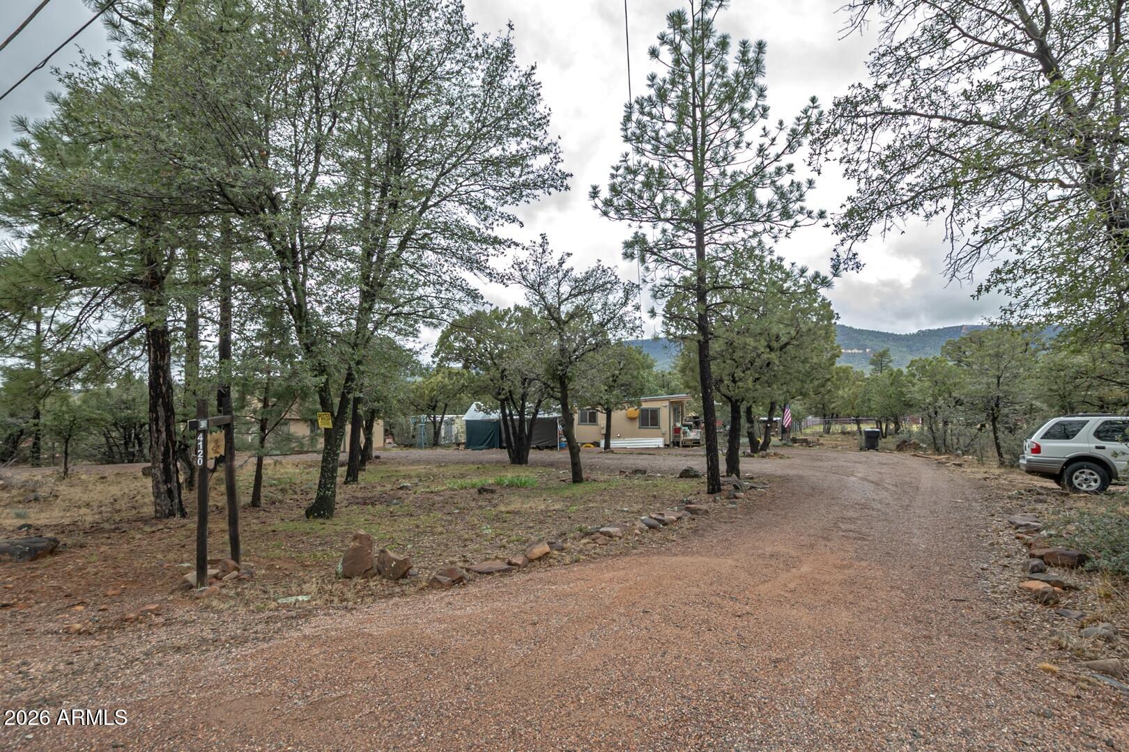 4120 North Whispering Pine Road Pine, AZ 85544 - Photo 19 of 30 a row of trees and outdoor space