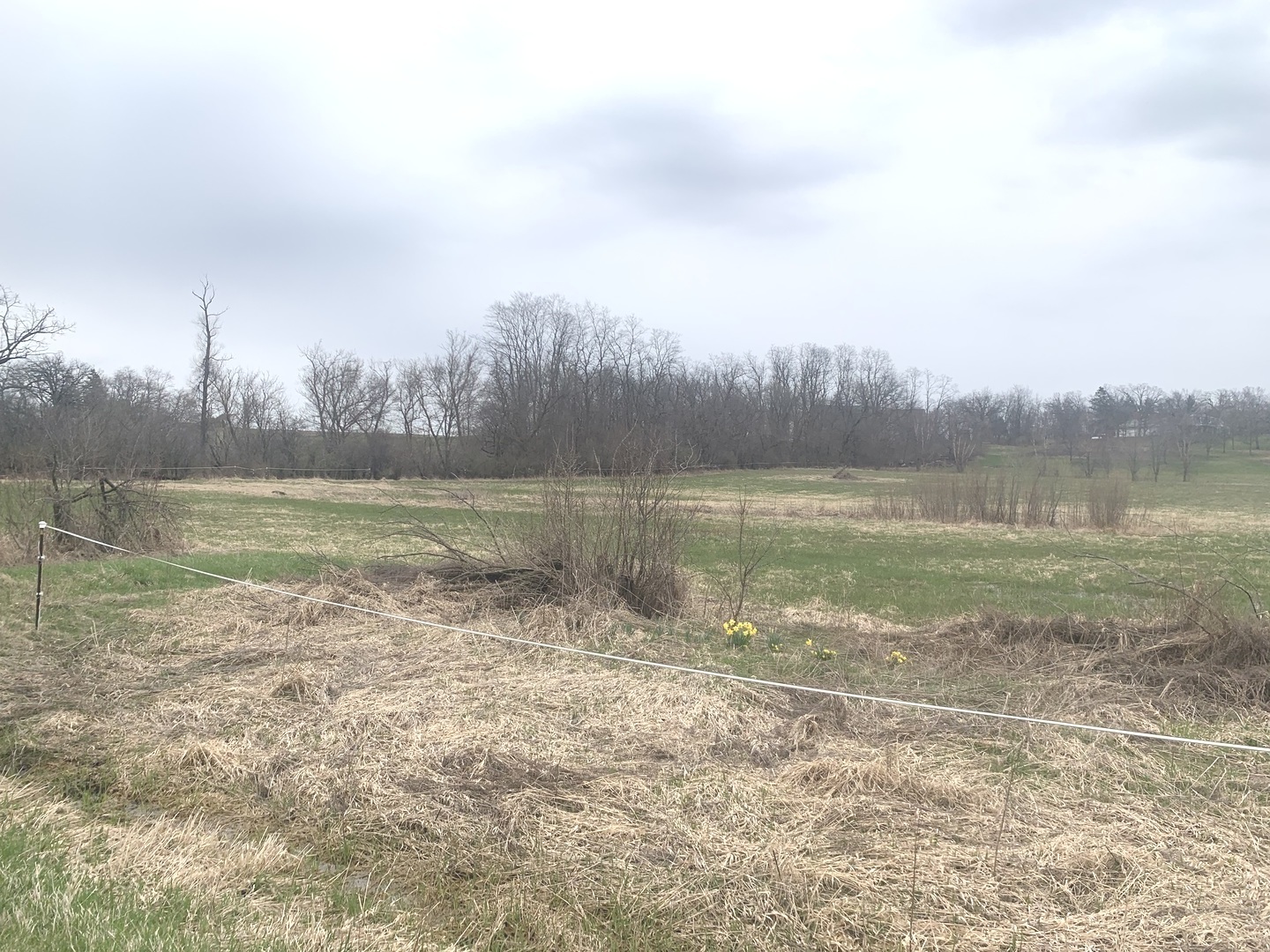 0 Oak Grove Road Harvard, IL 60033 - Photo 2 of 2