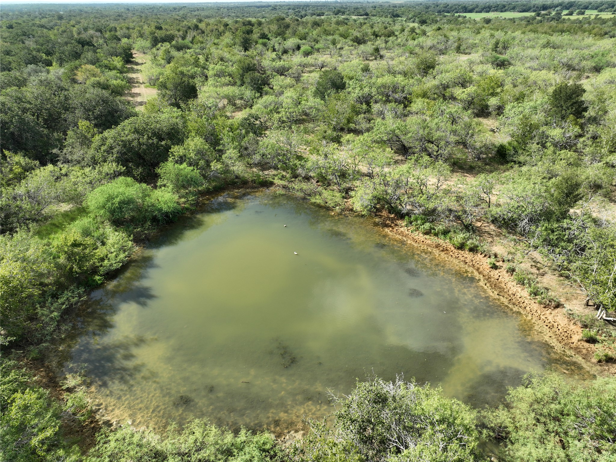 424 Rd Waelder Tx 78629 Road Waelder, TX 78959 - Photo 9 of 25 Bird's eye view of a large body of water