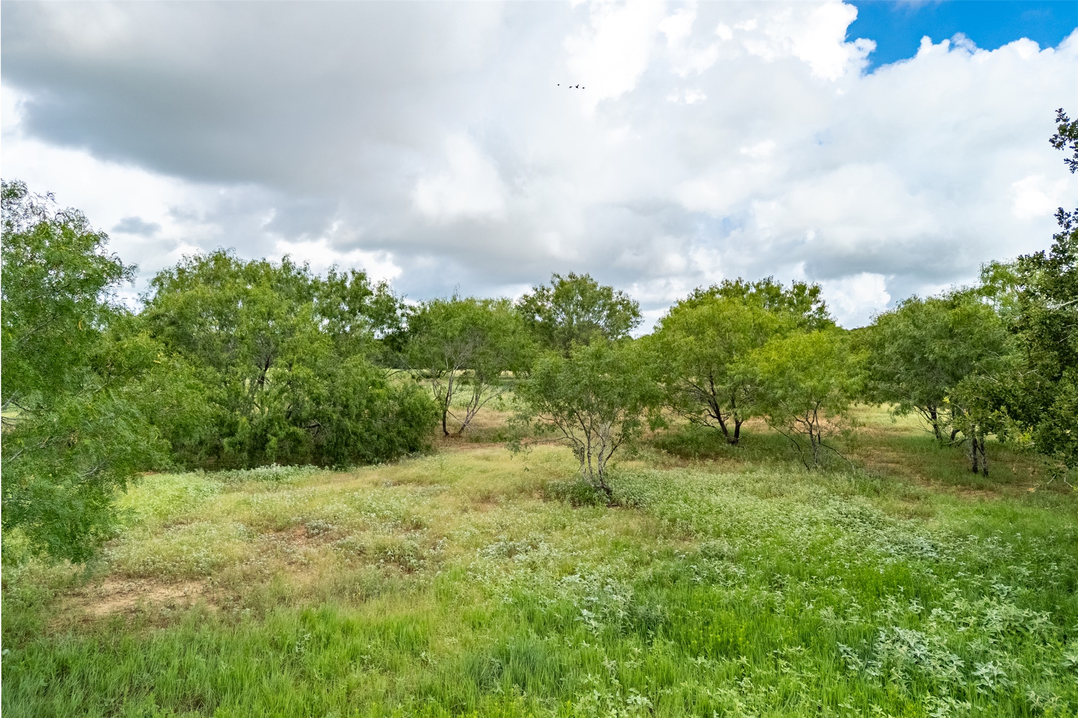 5485 County Road 249 Luling, TX 78648 - Photo 12 of 23 View of nature with rural landscape