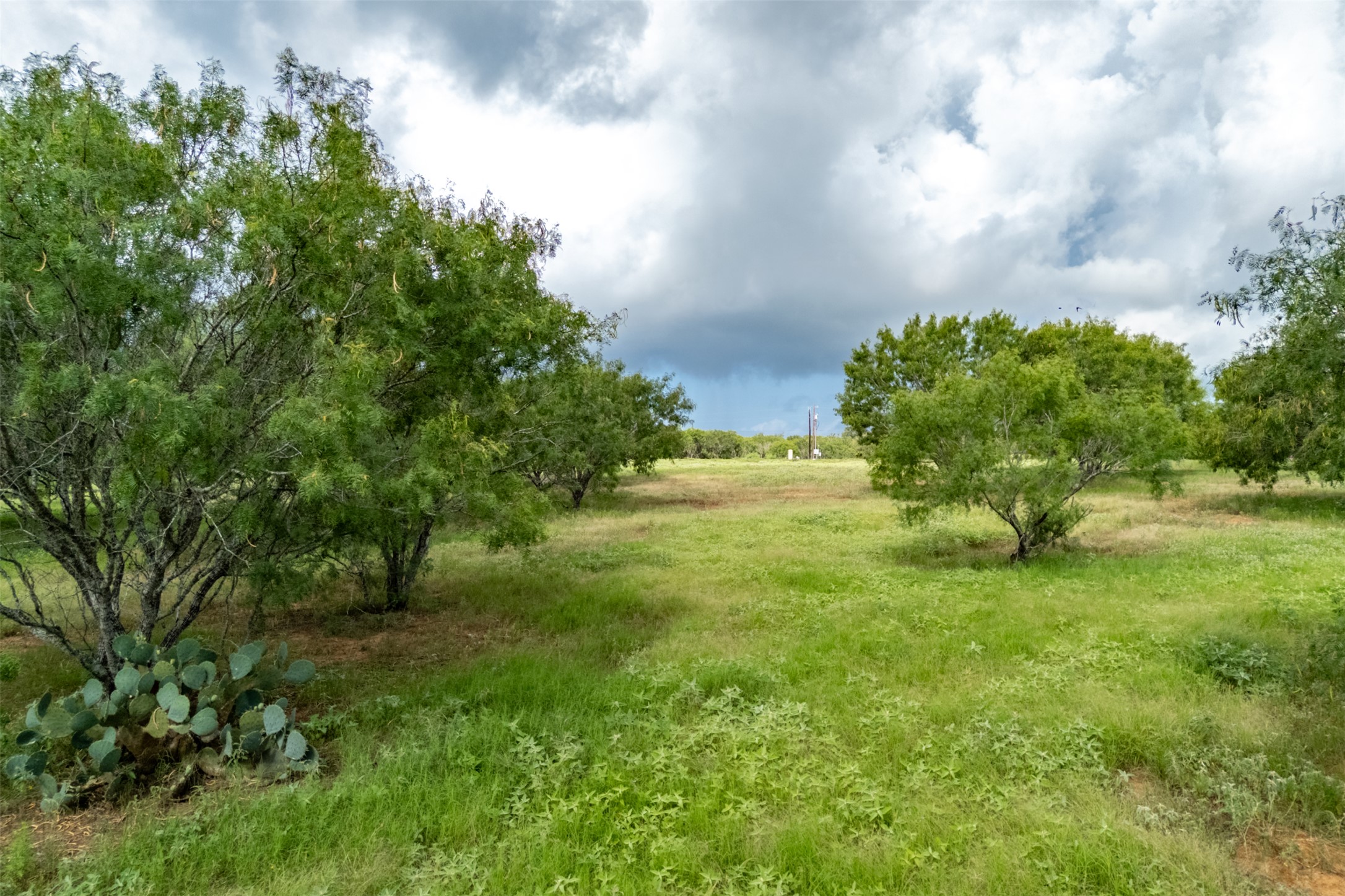 5485 County Road 249 Luling, TX 78648 - Photo 4 of 23 View of yard with a rural view