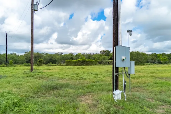 a view of a park with a tree