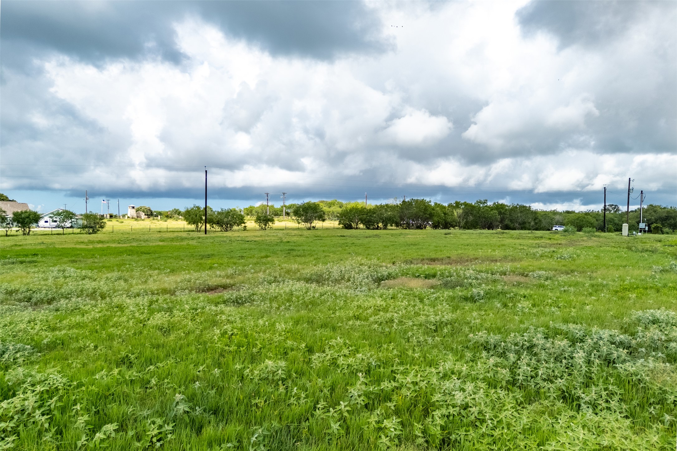 5485 County Road 249 Luling, TX 78648 - Photo 10 of 23 View of local wilderness with rural landscape