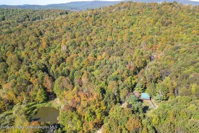 a view of a bunch of trees and houses