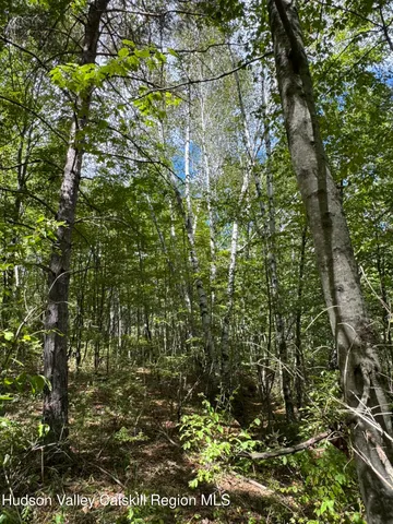 a view of outdoor space and trees