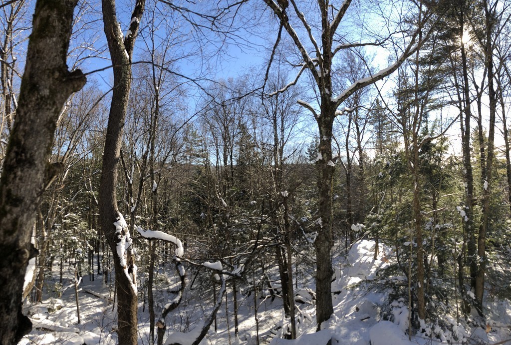 0 Mount Road Cummington, MA 01026 - Photo 20 of 22