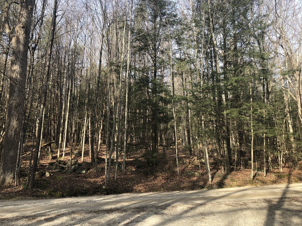 0 Mount Road Cummington, MA 01026 - Photo 2 of 22 a view of a park with large trees