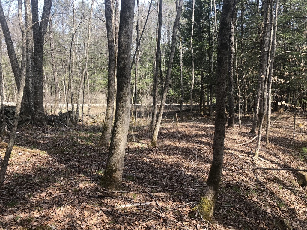 0 Mount Road Cummington, MA 01026 - Photo 3 of 22 a backyard of a house with lots of green space