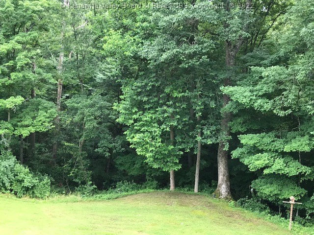 1078 Robinson Run Road Walton, WV 25286 - Photo 14 of 19 Gallery Image 14