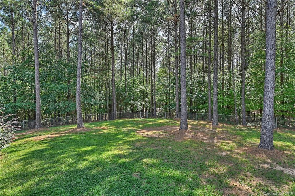 6801 Steele Road Waxhaw, NC 28173 - Photo 31 of 36 Gallery Image 31