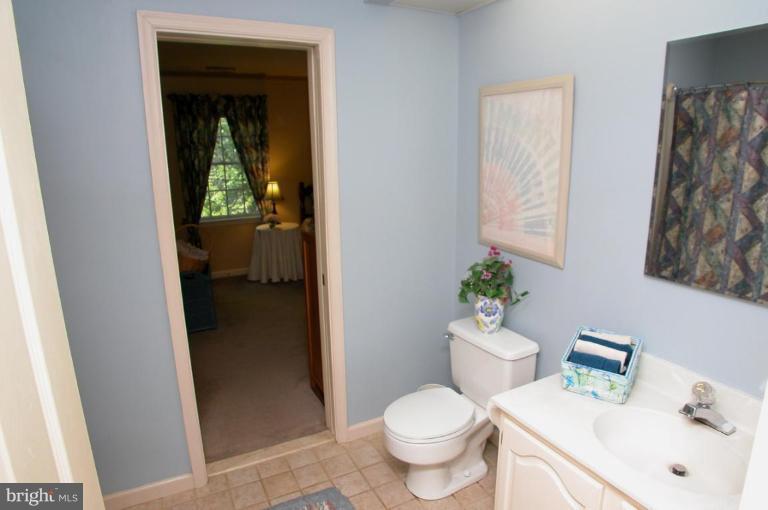 259 Hunters Ridge Road Lutherville-Timonium, MD 21093 - Photo 20 of 29 Bath #2