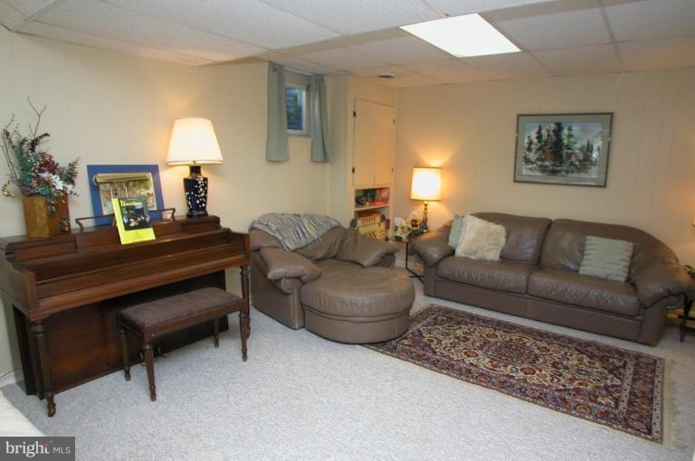 259 Hunters Ridge Road Lutherville-Timonium, MD 21093 - Photo 22 of 29 Recreation Room #2