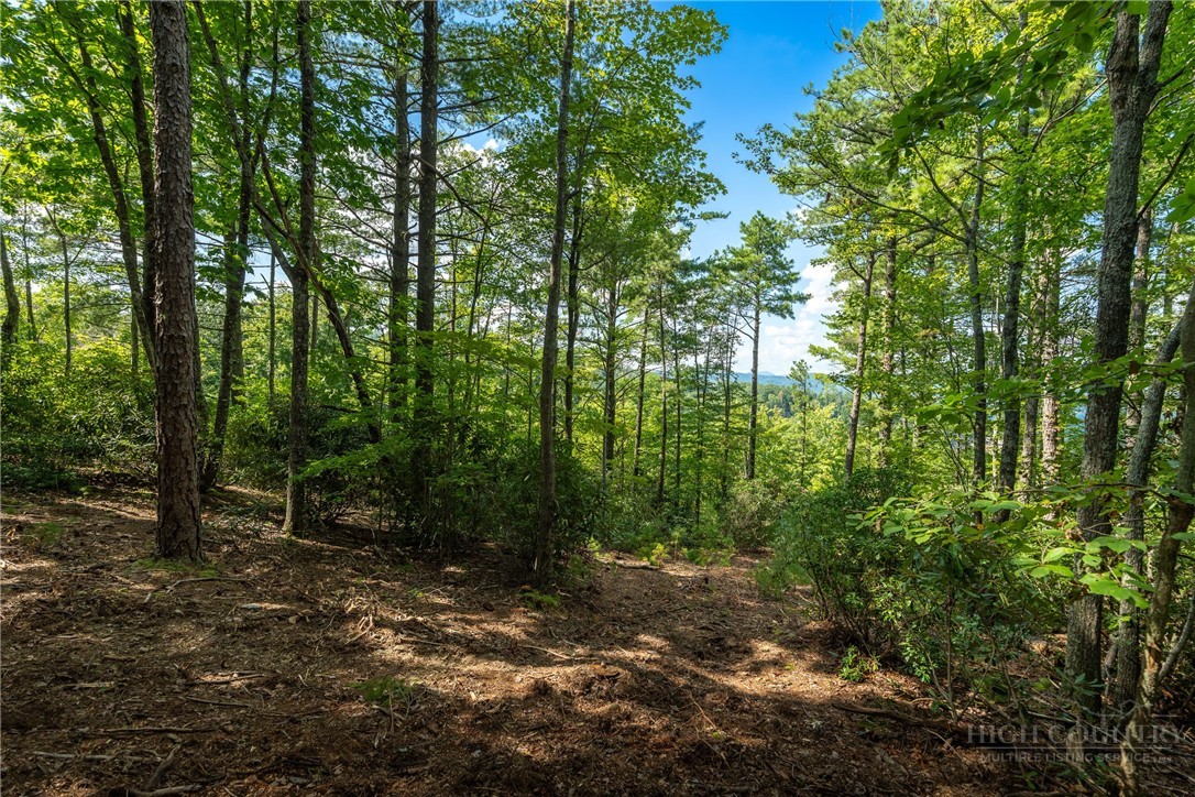 327 Lyreleaf Trail Boone, NC 28607 - Photo 7 of 50 Gallery Image 7