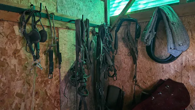 $649,000 | 91 Venheim Road, Lunenburg, VT 05906