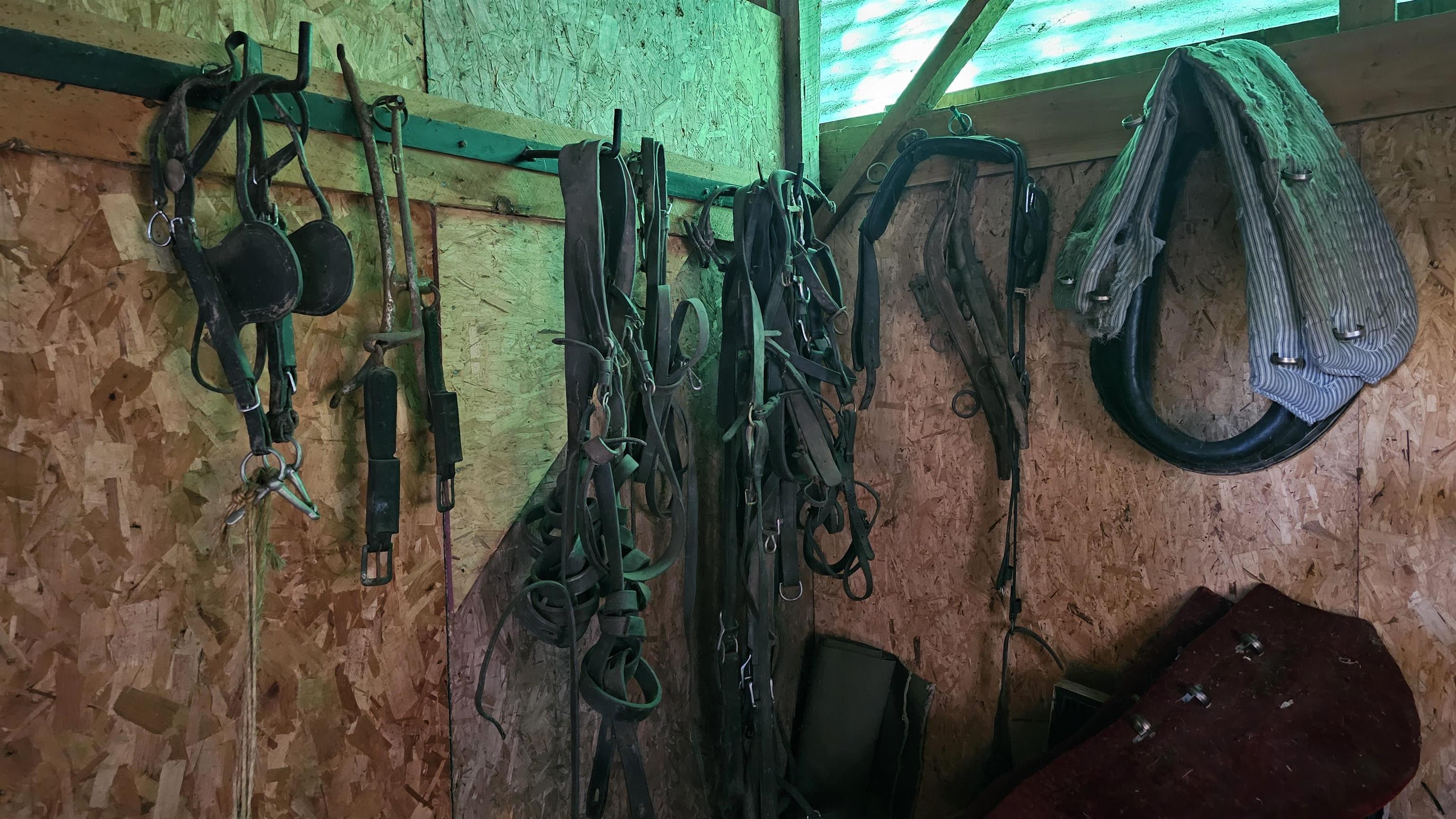 91 Venheim Road Lunenburg, VT 05906 - Photo 39 of 52