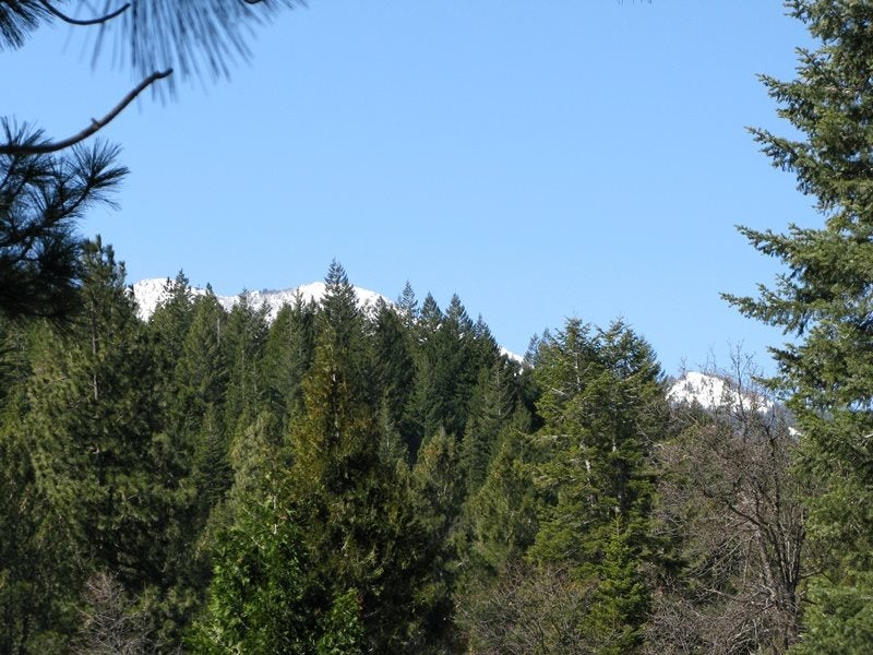 0 Davis Place Road Mount Shasta, CA 96067 - Photo 15 of 16 Gallery Image 15
