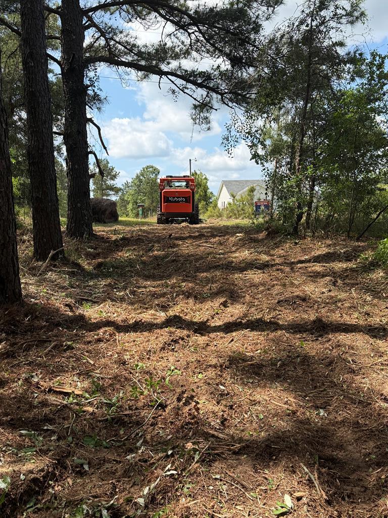 0 Bridle Path Lane Box Springs, GA 31801 - Photo 1 of 15 a childrens park with lots of trees