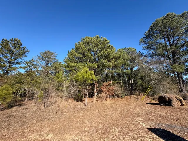 a view of a backyard of the house