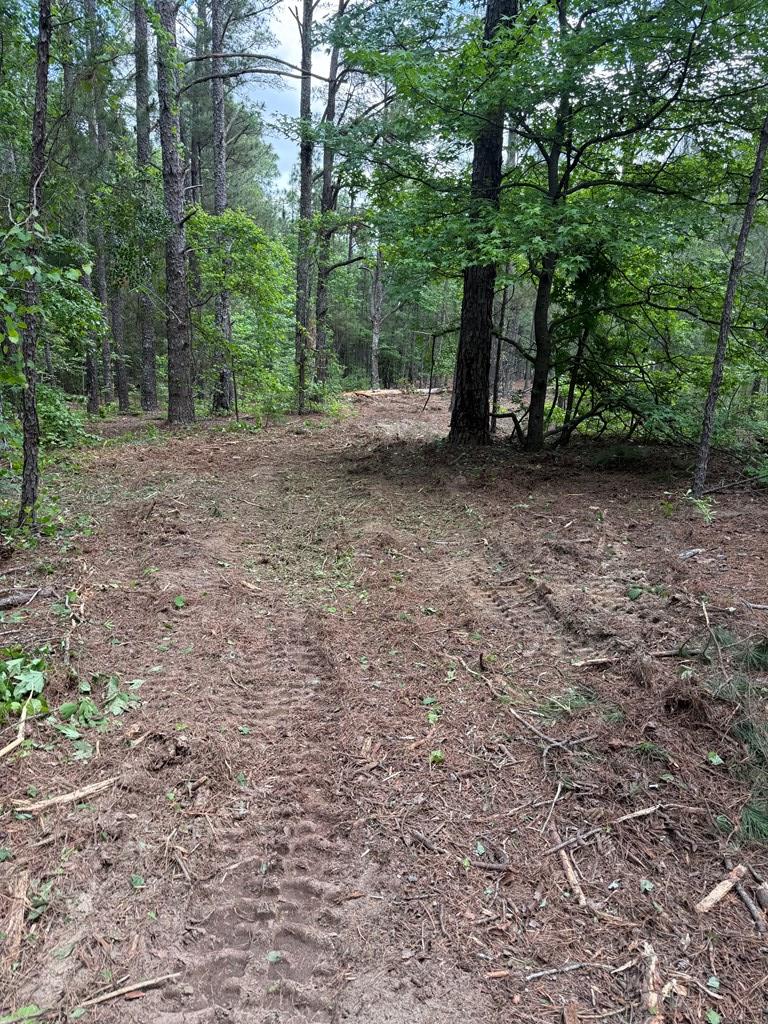 0 Bridle Path Lane Box Springs, GA 31801 - Photo 7 of 15 a view of outdoor space and yard